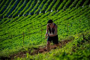 BIB: 
                            <button type="button" onclick="openModal(19161075)" class="btn btn-primary btn-sm float-right btn-popup" data-toggle="modal" data-target=".modal-high-quality">
                        <i class="fas fa-shopping-cart"></i> Add to Cart
                    </button>
                                            <button type="button" onclick="isThisMe(19161075, true)" class="btn btn-success btn-sm float-right btn-popup btn-isme hidden" data-toggle="tooltip" data-placement="bottom" title="นี่คือรูปของคุณใช่ไหม คลิกที่นี่เพื่อเอาเข้าอัลบั้ม">
                        <i class="fas fa-plus"></i> Add to album
                    </button>
                    <button type="button" onclick="isThisMe(19161075, false)" class="btn btn-warning btn-sm float-right btn-popup btn-isnotme hidden">
                        <i class="fas fa-ban"></i> Remove from album
                    </button>